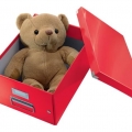 Krabice archivační Leitz Click-N-Store M (A4), červená