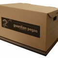 Krabice archivační Guardian Pegas 47x31x32 cm
