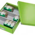 Box archivační organizační Leitz Click-N-Store M (A4), zel.