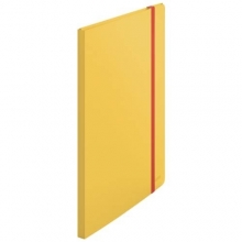 Kniha katalogová Leitz Cosy A4, PP, 20 kapes, žlutá