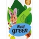 Prostředek čisticí Real Green na podlahy, 1 l