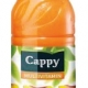 Nápoj Cappy nektar 50 %, multivitamín, 330 ml, 12 ks
