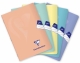 Sešit A5 link. 544 Clairefontaine Mimesys, 40 l., past. mix